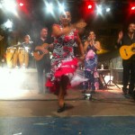 TRIBUTE GIPSY : spectacle, concert, groupe, orchestre, animation, guitare et chant traditionnel, musique Gitane, danseuse Flamenco, diseuse de bonne...