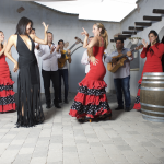TRIBUTE GIPSY : spectacle, concert, groupe, orchestre, animation, guitare et chant traditionnel, musique Gitane, danseuse Flamenco, diseuse de bonne...